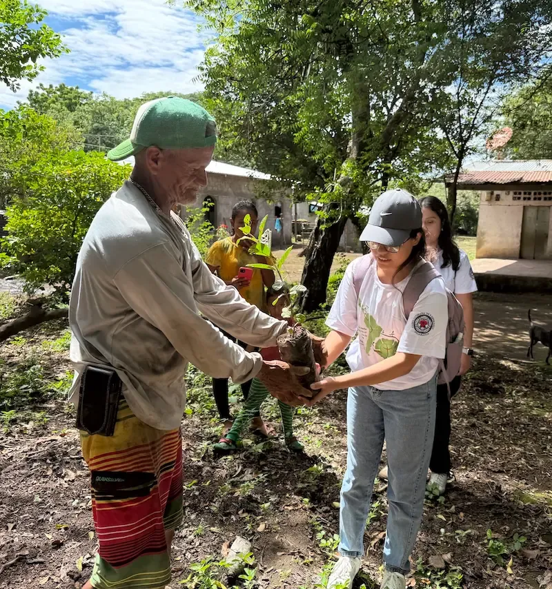 Donación de árboles a la comunidad.